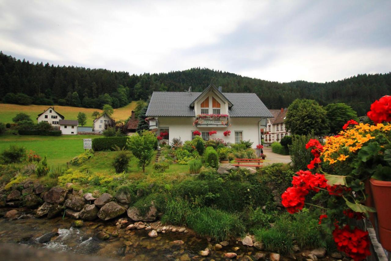 Gaestehaus Ursula Hornberg Exterior photo